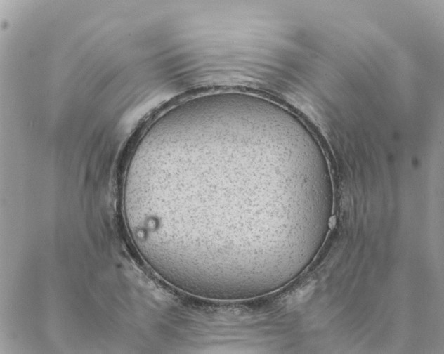 X0000087310979200705041645