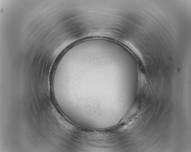 X0000087310980200705041645