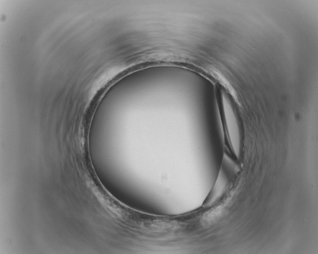 X0000087310981200705041645