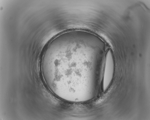 X0000087310983200705041645