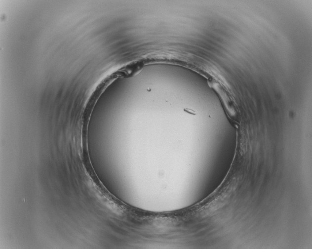 X0000087310984200705041645