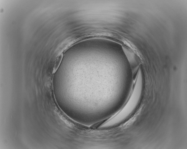 X0000087310985200705041645