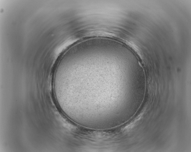 X0000087310987200705041645