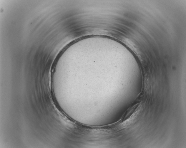 X0000087310988200705041645