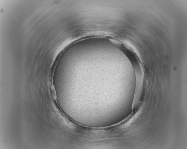 X0000087310989200705041645