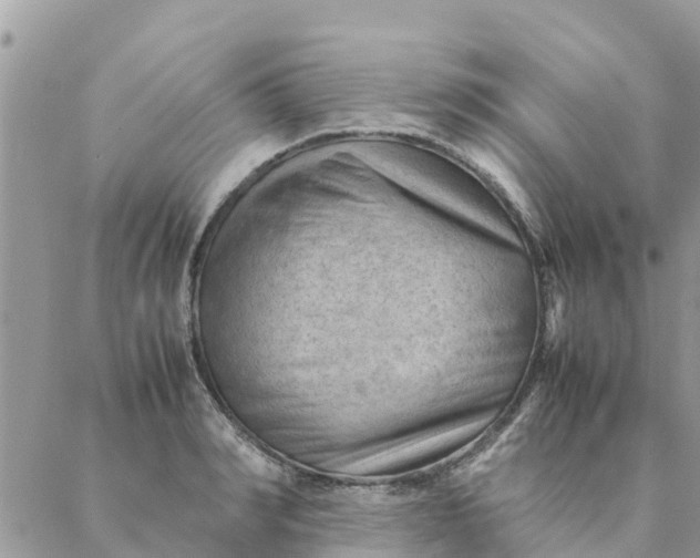 X0000087310990200705041645