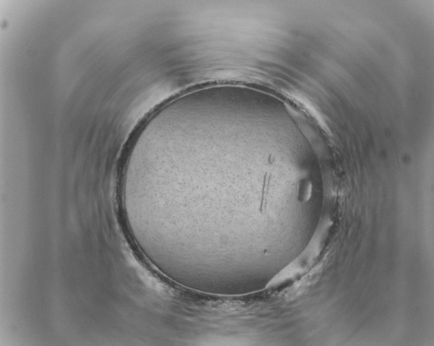 X0000087310991200705041645