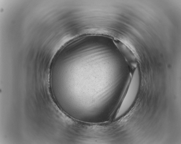 X0000087310992200705041645