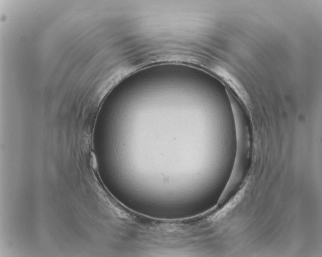 X0000087310993200705041645