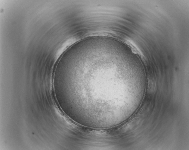 X0000087310994200705041645