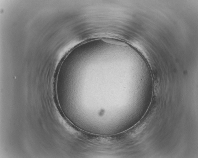 X0000087310995200705041645