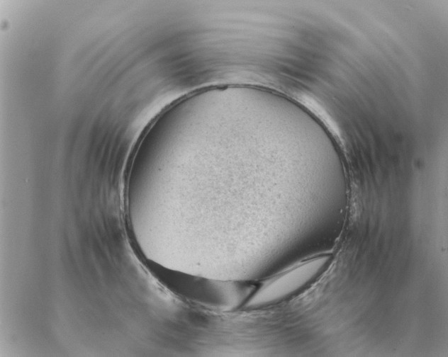 X0000087310996200705041645