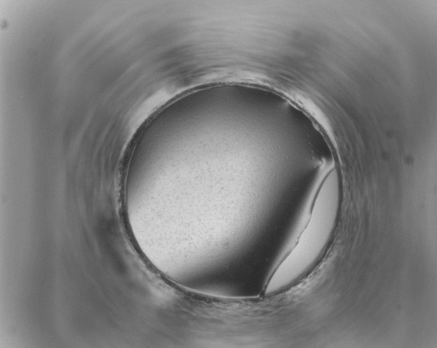 X0000087310997200705041645