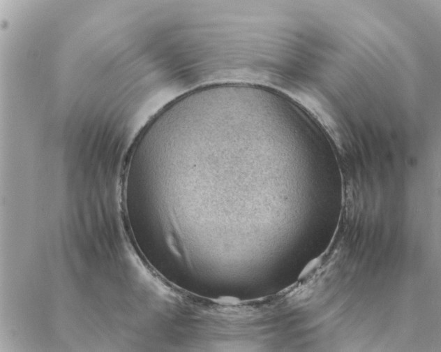 X0000087310998200705041645