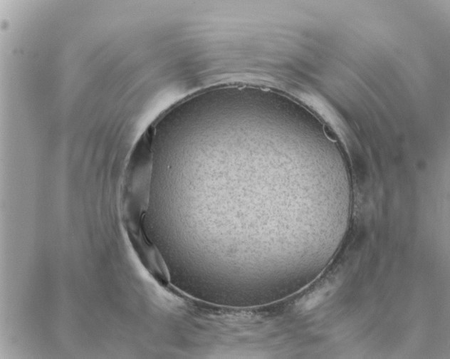 X0000087310999200705041645