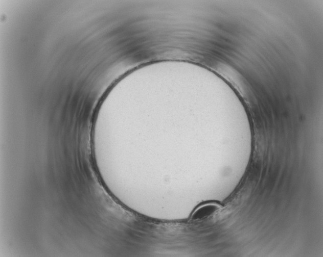 X0000087311000200705041645