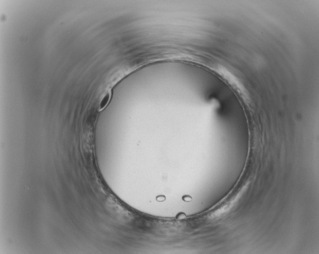 X0000087311001200705041645