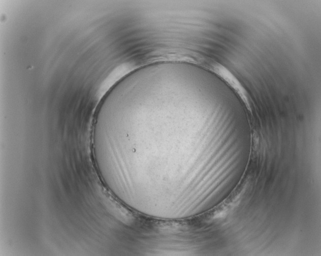 X0000087311002200705041645