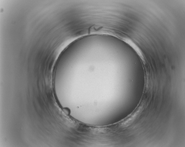 X0000087311004200705041645