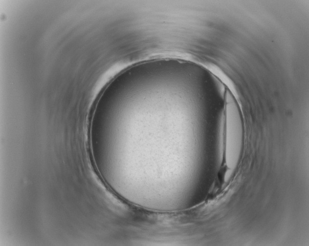 X0000087311005200705041645