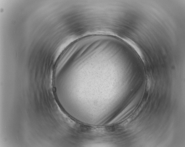 X0000087311006200705041644