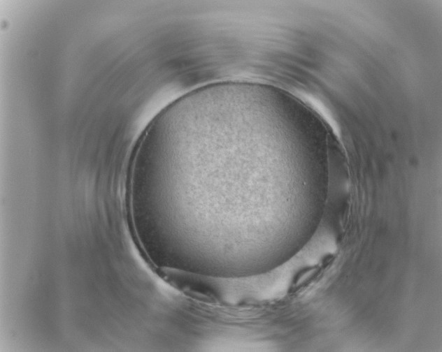 X0000087311007200705041644