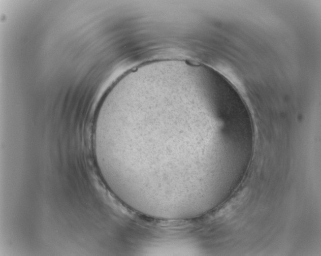 X0000087311008200705041644