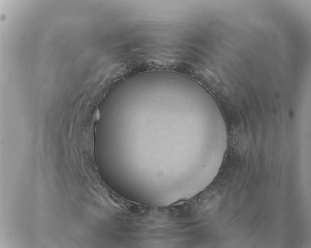 X0000087311009200705041644