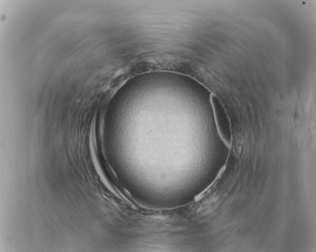 X0000087311010200705041644