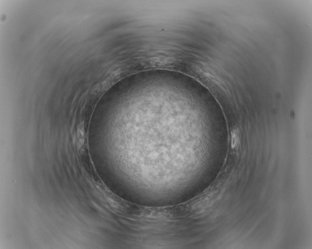 X0000087311011200705041644