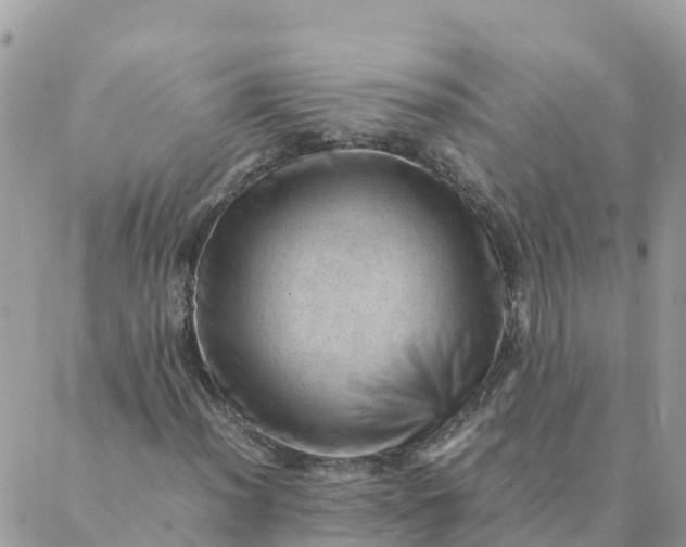 X0000087311012200705041644