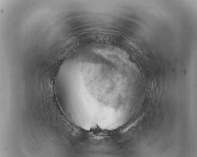 X0000087311013200705041644