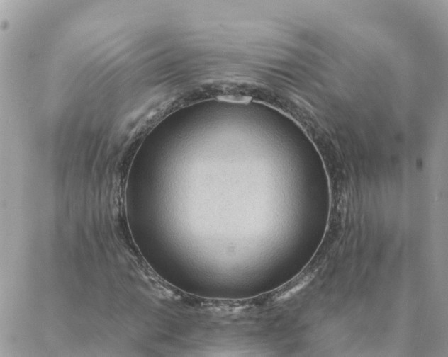 X0000087311014200705041644