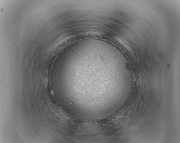 X0000087311015200705041644