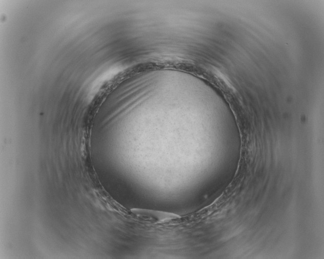 X0000087311016200705041644