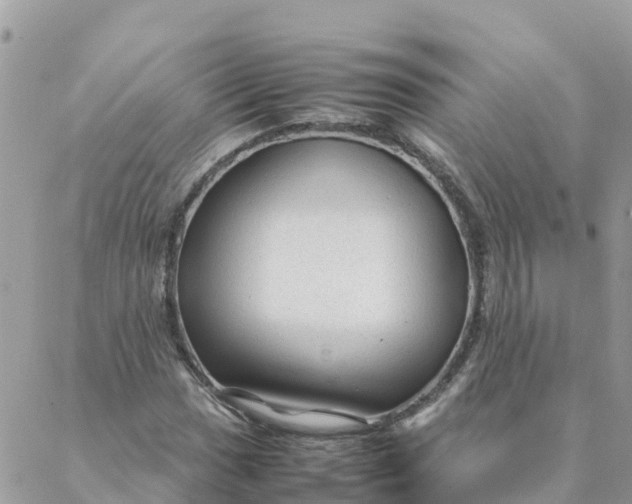 X0000087311017200705041644