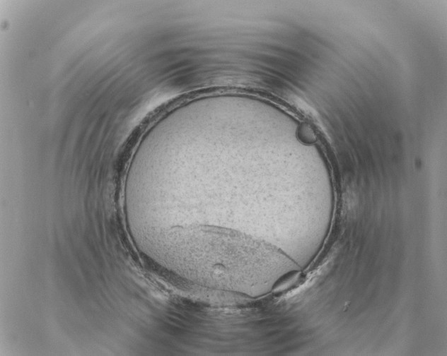 X0000087311019200705041644