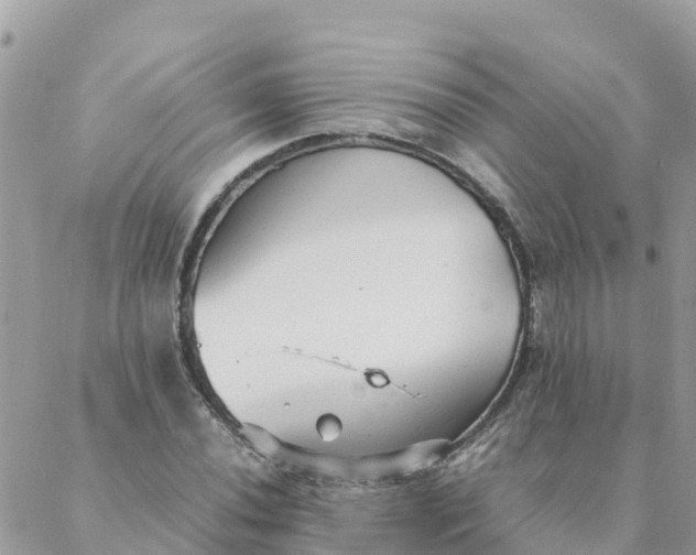 X0000087311020200705041644