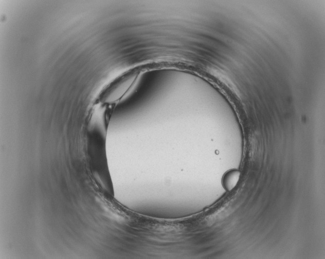 X0000087311021200705041644