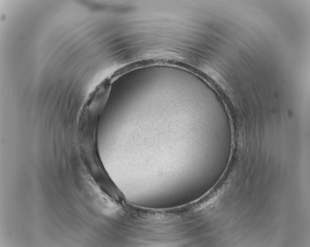 X0000087311022200705041644