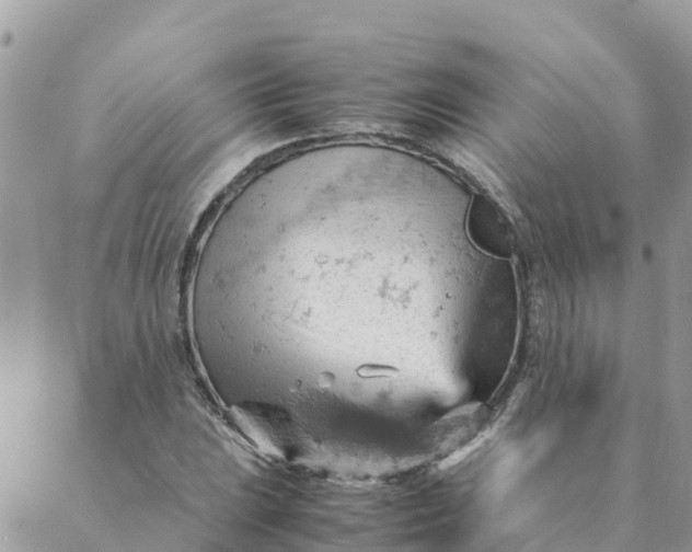 X0000087311023200705041644