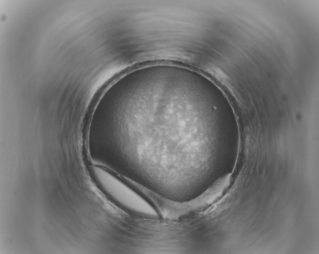 X0000087311024200705041644