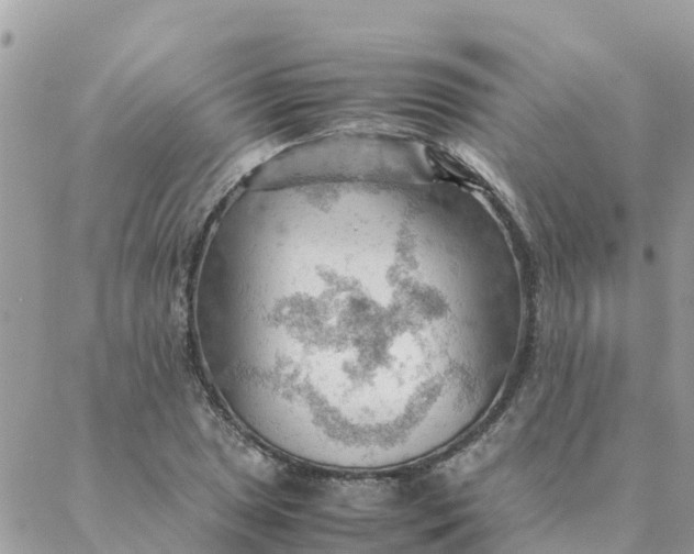 X0000087311025200705041644