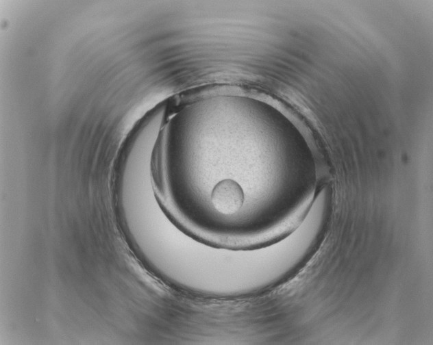 X0000087311026200705041644