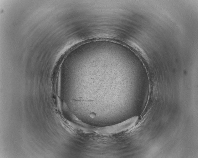 X0000087311027200705041644