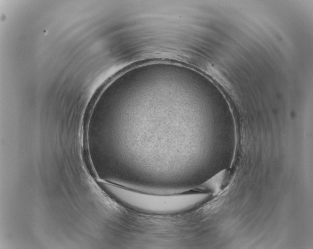 X0000087311028200705041644