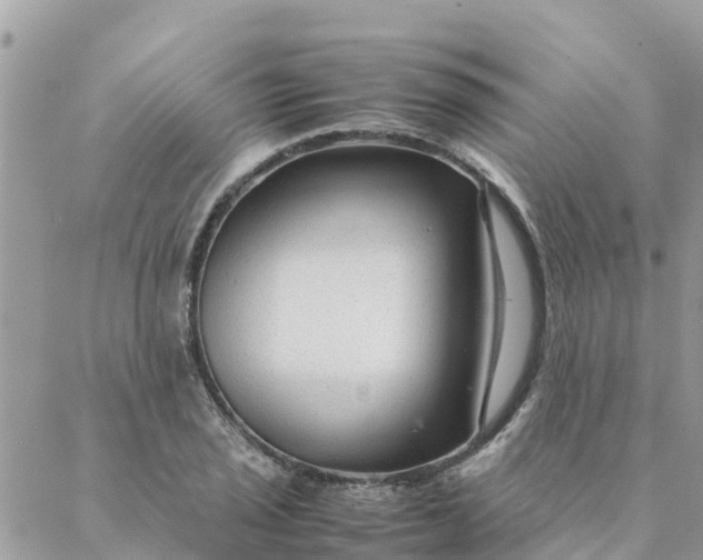 X0000087311029200705041644