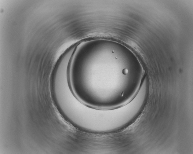 X0000087311030200705041644