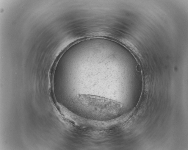 X0000087311031200705041644