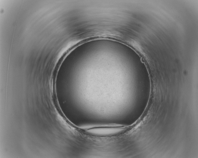 X0000087311032200705041644